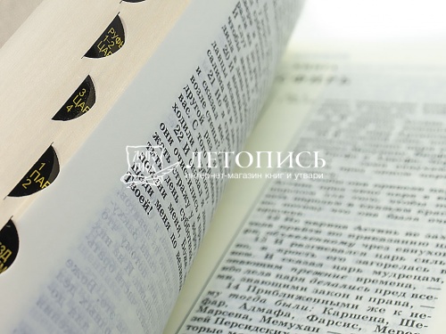 Библия в кожаном переплете, канонические книги, синодальный перевод, золотой обрез с указателями (арт.17397) фото 6