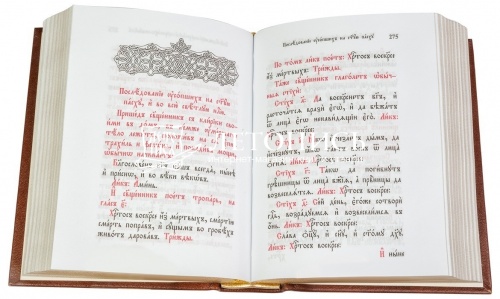 Святое Евангелие на церковнославянском языке в кожаном переплете фото 2