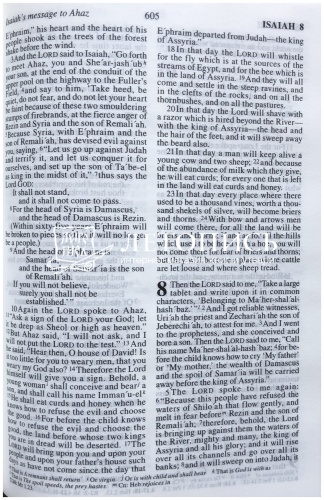 Библия на английском языке - Holy Bible (арт. 11014) фото 6