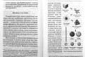 Физика Бытия: Происхождение Вселенной в десяти стихах Библии: Естественно-научное толкование первых четырех дней сотворения мира