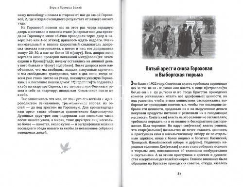 Верю в Промысл Божий. Протоиерей Михаил Чельцов (арт. 21206) фото 4