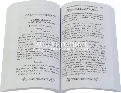 Молитвослов Великого Поста с параллельным русским переводом (арт. 11929) фото 2
