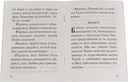 Акафист Пресвятой Богородице в честь иконы Ея "Владимирския"