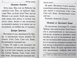 Православный молитвослов и Псалтирь (арт. 13828)