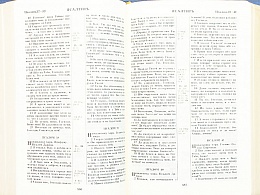 Библия в гибком переплете с металлическим шильдиком, синодальный перевод, канонические книги Ветхого Завета. Золотой обрез (арт.17398)