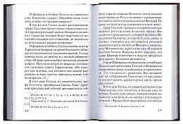 Николай Гоголь: опыт духовной биографии (Паломник)