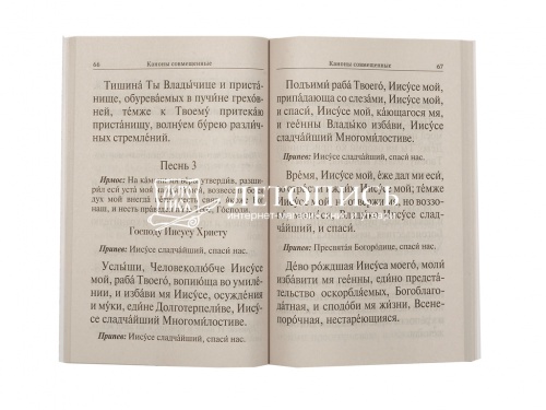 Молитвослов крупный шрифт. Полное правило ко Святому Причащению.  фото 3