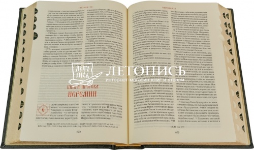 Библия в кожаном переплете, золотой обрез (арт.11042) фото 13