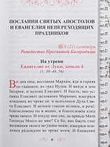 Лекарство для души. Евангелие и Апостол, чтомые на всякий день и в различных нуждах