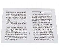 Акафист Пресвятой Богородице ради иконы Ее "Всецарица".