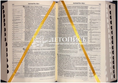 Библия в кожаном переплете, футляр (арт.11119) фото 12
