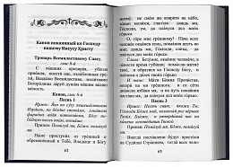 Молитвенный щит православного мирянина / Молитвослов (арт. 07576)