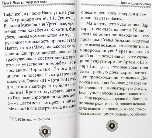 Юродивый. Преподобный Гавриил (Ургебадзе) фото 3