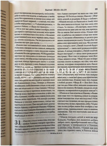 Библия в переплете из экокожи, современный русский перевод (арт.11126) фото 6