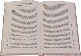 Возраст зрелости. Время мудрых, счастливых и немного святых (как прожить жизнь так, чтобы ваша старость стала движением вверх)
