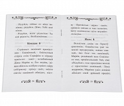 Акафист Пресвятой Богородице в честь иконы Ее Умиление (Серафимо-Дивеевская).