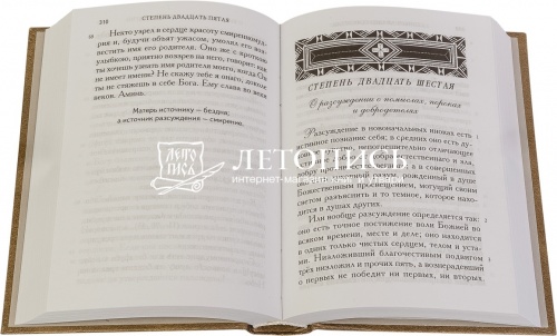 Лествица преподобного Иоанна. Русский перевод святителя Игнатия Брянчанинова фото 2