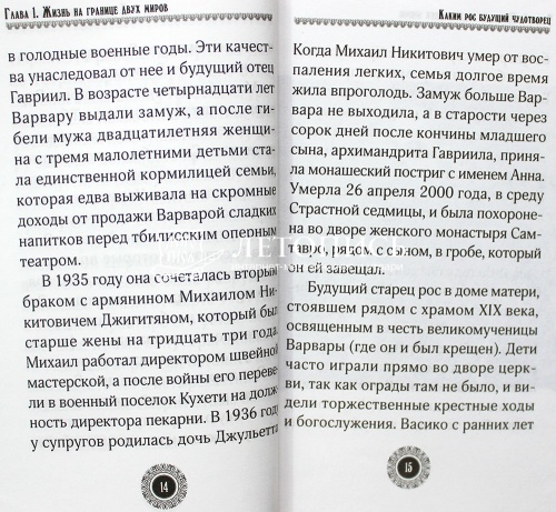 Юродивый. Преподобный Гавриил (Ургебадзе) фото 4