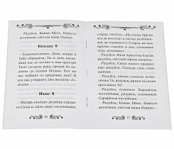 Акафист Пресвятой Богородице в честь иконы Ее Отрада (Утешение).