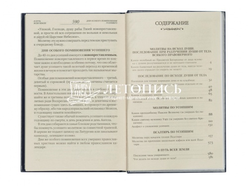 Псалтирь и каноны по усопшим для слабовидящих (арт. 03675) фото 7