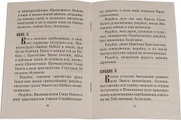 Акафист Божией Матери в честь иконы Ее Нечаянная Радость