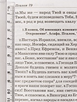 Псалтирь пророка и царя Давида. Учебная с переводом П.А. Юнгерова