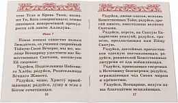 Акафист Пресвятой Богородице в честь иконы Ее "Всецарица"