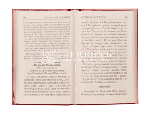 Молитвы к 145 чудотворным иконам Божией Матери. С указанием на особую благодать помощи в различных нуждах и немощах человеческих фото 3