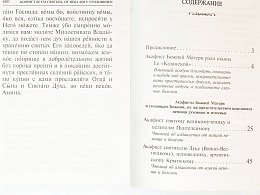 Акафисты Божией Матери и святым, читаемые в житейских нуждах, скорбях и болезнях (арт. 13617)