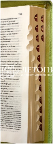 Библия в кожаном переплете на молнии, современный русский перевод (арт.11127) фото 10