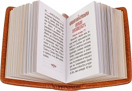 Псалтирь карманная в кожаном переплете, золотой обрез (арт. 14783)