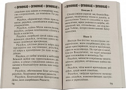 Акафисты, чтомые в болезнях, скорбях и искушениях 