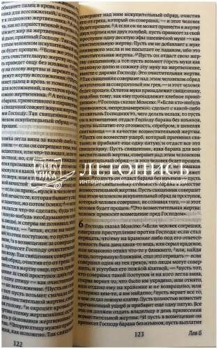 Библия, современный русский перевод, малый формат (арт.11128) фото 5