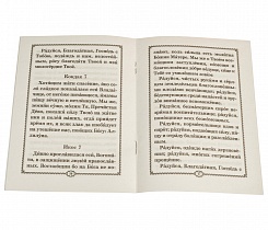 Акафист Пресвятой Богородице пред иконой Ее "Спорительница хлебов".