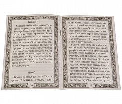 Акафист Пресвятой Богородице в честь иконы Ее Живоносный источник. 