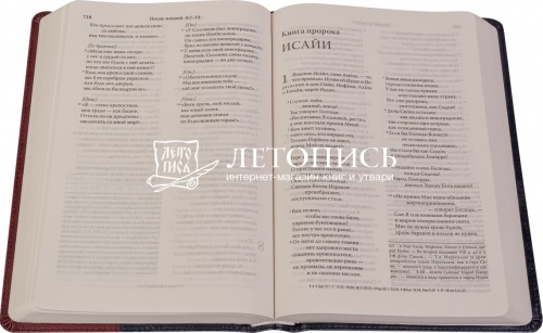 Библия в переплете из экокожи, современный русский перевод (арт.11126) фото 2