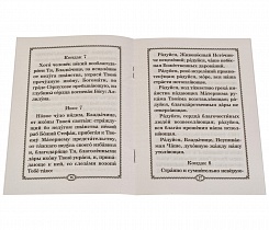 Акафист Пресвятой Богородице пред иконой "Неупиваемая Чаша".
