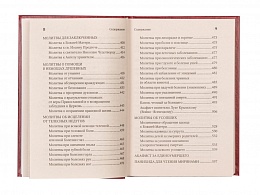 Молитвенная защита православного христианина. Молитвы на всякую потребу ко Господу Иисусу Христу, Его Пречистой Матери и святым угодникам Божиим