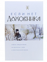 Если нет духовника. Ответы священников на вопросы о вере и христианской жизни