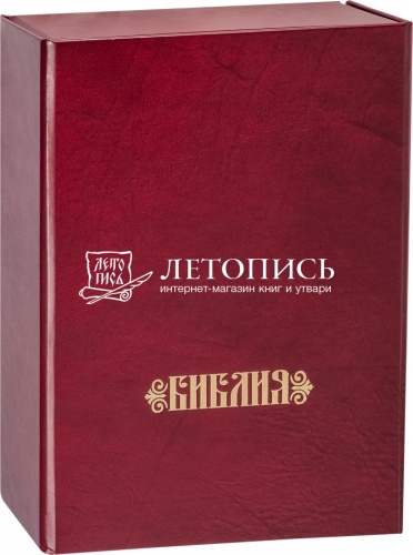 Библия в кожаном переплете с металлическим шильдиком и уголками, футляр (08538) фото 2