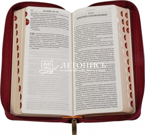 Библия в кожаном переплете, синодальный перевод (арт. 14158) фото 3