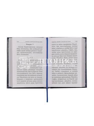 Акафисты, читаемые в болезнях, скорбях и особых нуждах фото 6