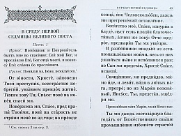 Великий покаянный канон святого Андрея Критского, читаемый в Первую неделю Великого Поста 