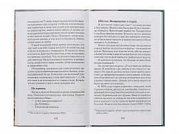 Великая брань старца Нектария. Воспоминания Н.А. Павлович о преподобном Нектарии Оптинском