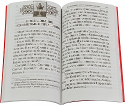 Молитвослов, молитвы утренние и вечерние, правило ко Святому Причащению, Пасхальный канон, молитвы святым ангелам на каждый день недели (арт. 06306)