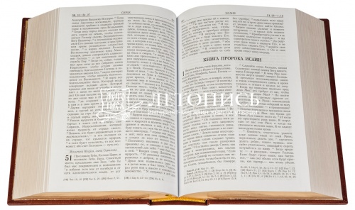 Библия в кожаном переплете, синоидальный перевод, золотой обрез (арт. 08646) фото 2
