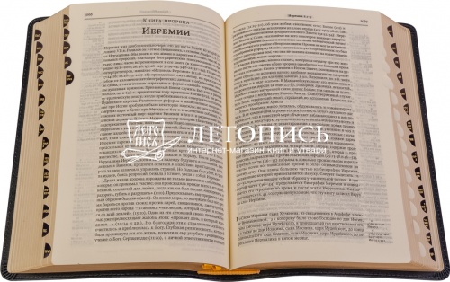 Библия в кожаном переплете, футляр (арт.11119) фото 3