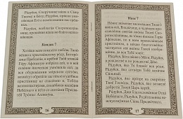 Акафист Пресвятой Богородице в честь иконы Ее "Скоропослушница"