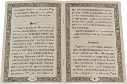 Акафист Пресвятой Богородице в честь иконы Ее "Неупиваемая чаша"