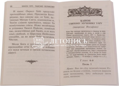 Вечная память. Молитвы об усопших, каноны, панихида, 17 кафизма, лития фото 4